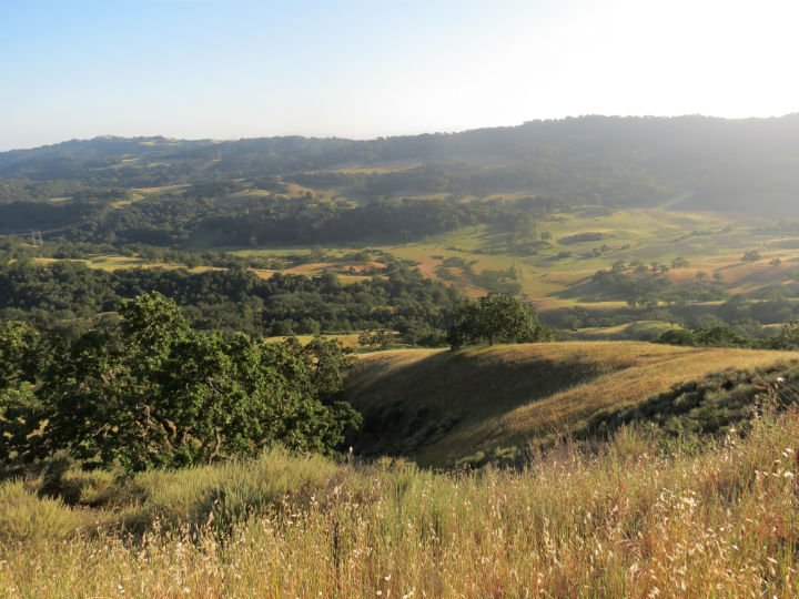 Coyote Creek